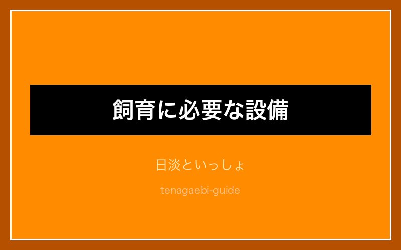 テナガエビの分類・生態