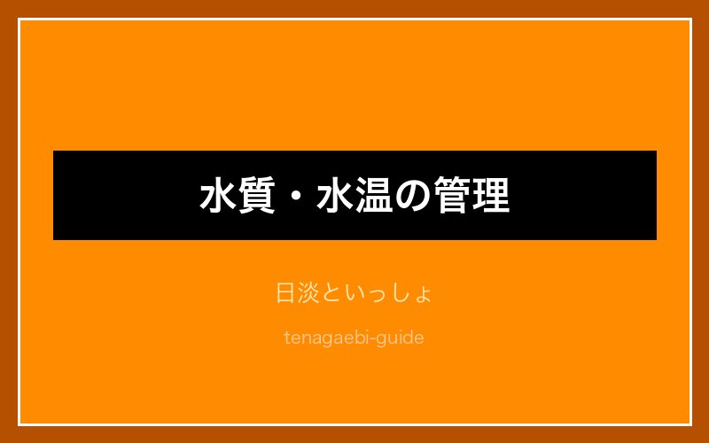 テナガエビ飼育設備