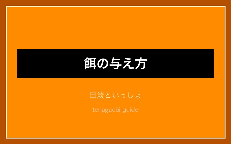 テナガエビの水質水温管理
