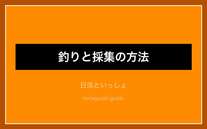 テナガエビの病気対処法