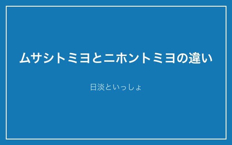 ムサシトミヨとニホントミヨの違い - 日淡といっしょ