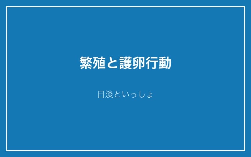 繁殖と護卵行動 - 日淡といっしょ