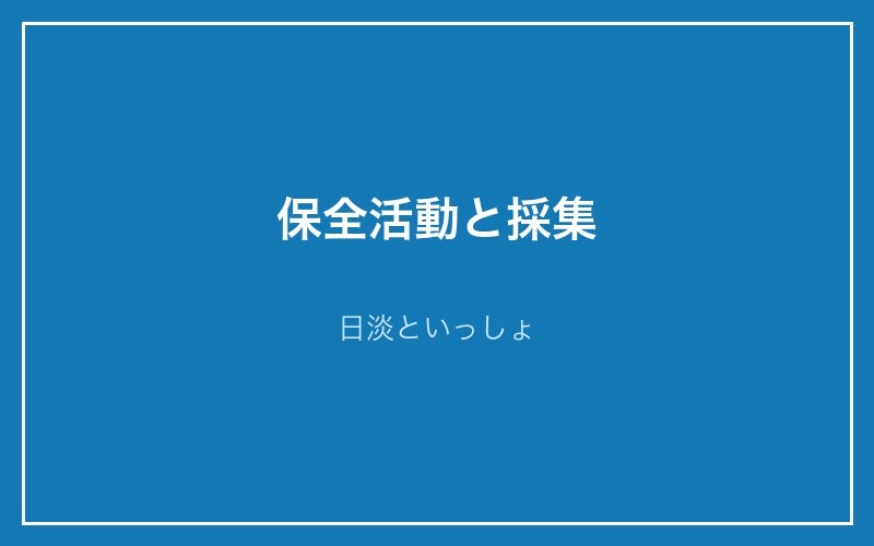 保全活動と採集 - 日淡といっしょ
