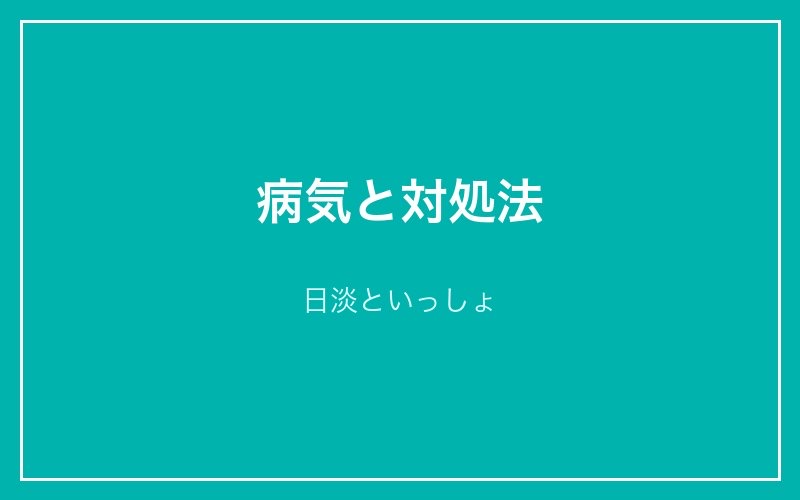病気と対処法