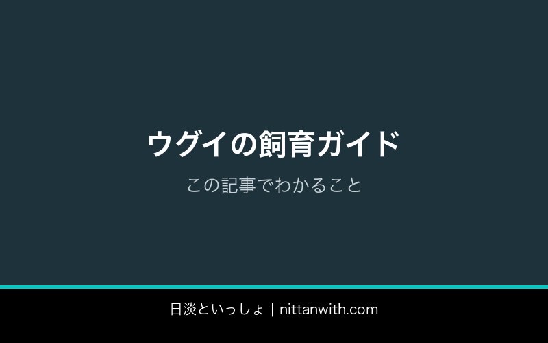 ウグイ飼育ガイド
