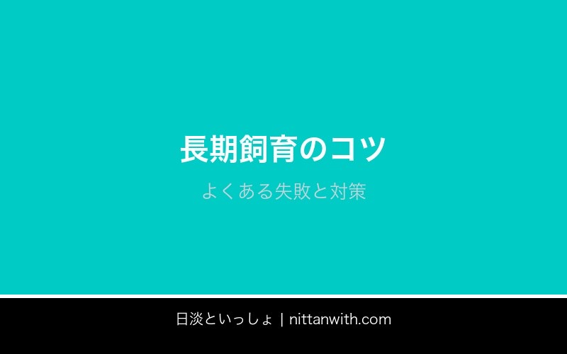 ウグイ飼育ガイド