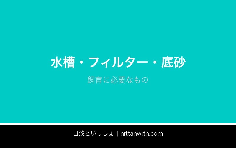 ウグイ飼育ガイド