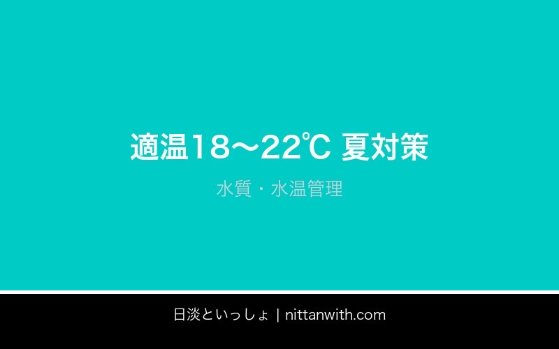 ウグイ飼育ガイド