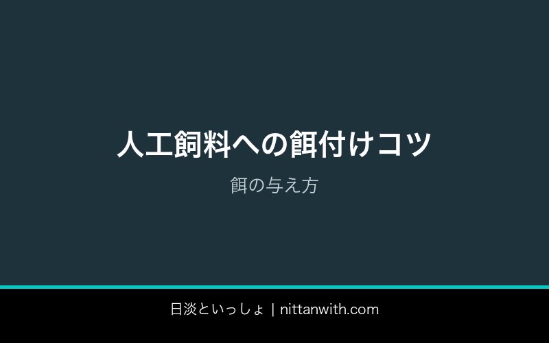 ウグイ飼育ガイド