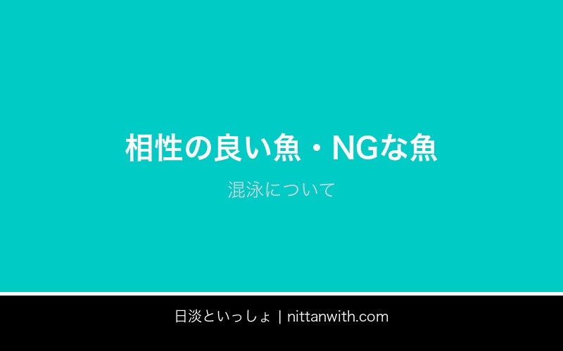 ウグイ飼育ガイド