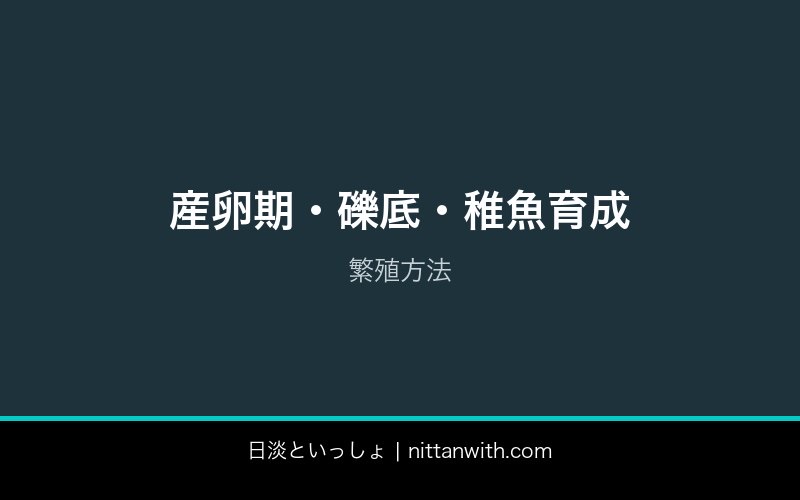 ウグイ飼育ガイド