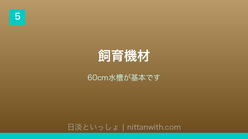 ウキゴリ飼育ガイド