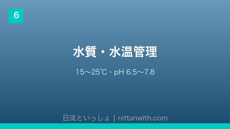 ウキゴリ飼育ガイド