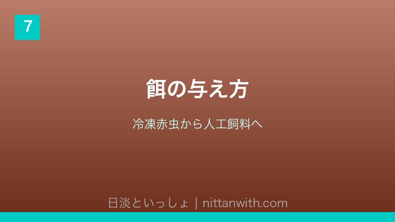 ウキゴリ飼育ガイド