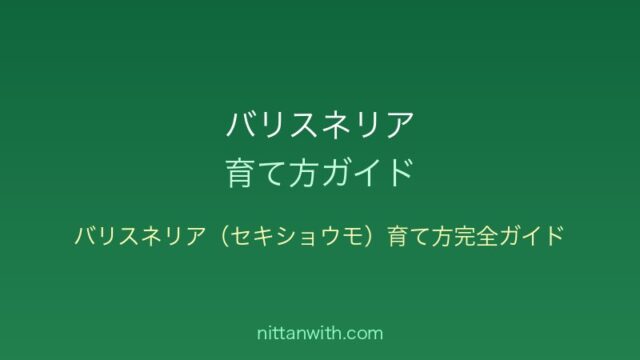 バリスネリア（セキショウモ）育て方完全ガイド