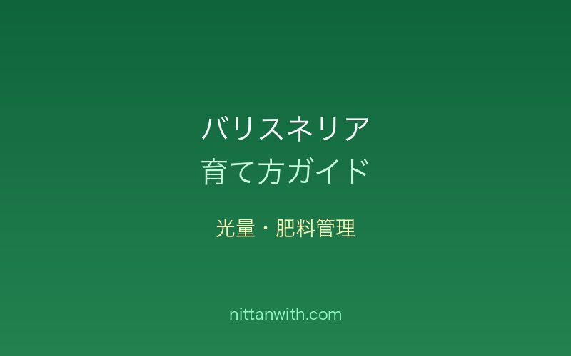 バリスネリアの光量・肥料管理