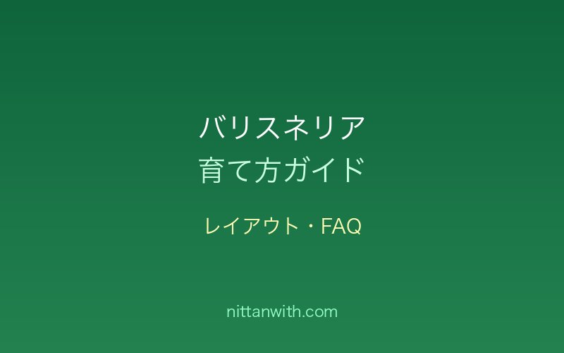 バリスネリアのレイアウト・FAQ