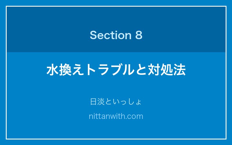 水換えトラブルと対処法 - 日淡といっしょ
