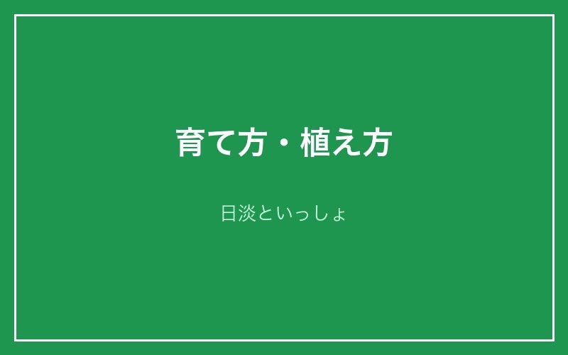 育て方・植え方 - 日淡といっしょ