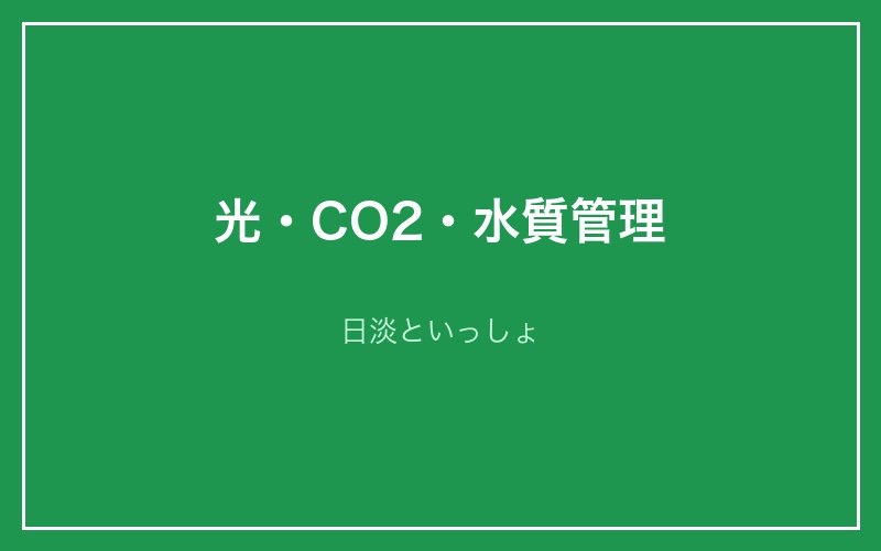 光・CO2・水質管理 - 日淡といっしょ