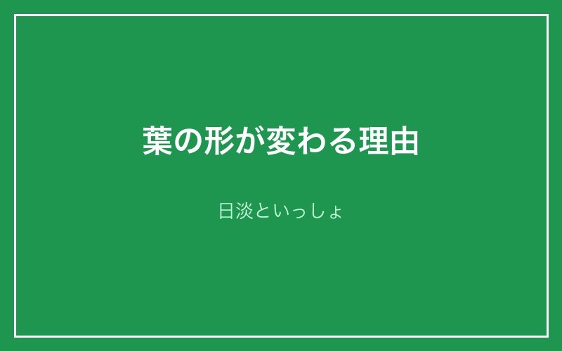 葉の形が変わる理由 - 日淡といっしょ