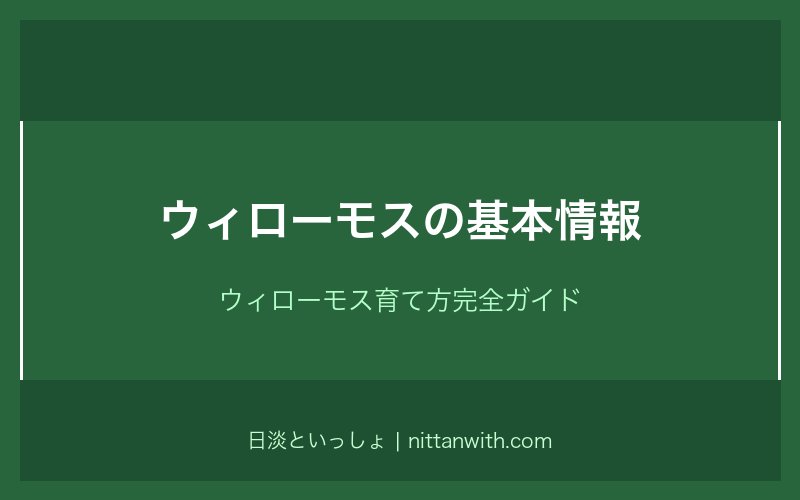 ウィローモスの基本情報