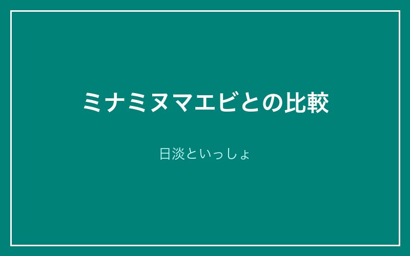 ミナミヌマエビとの比較