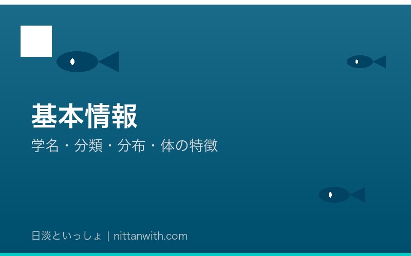 ゼニタナゴの基本情報・学名・分類・分布