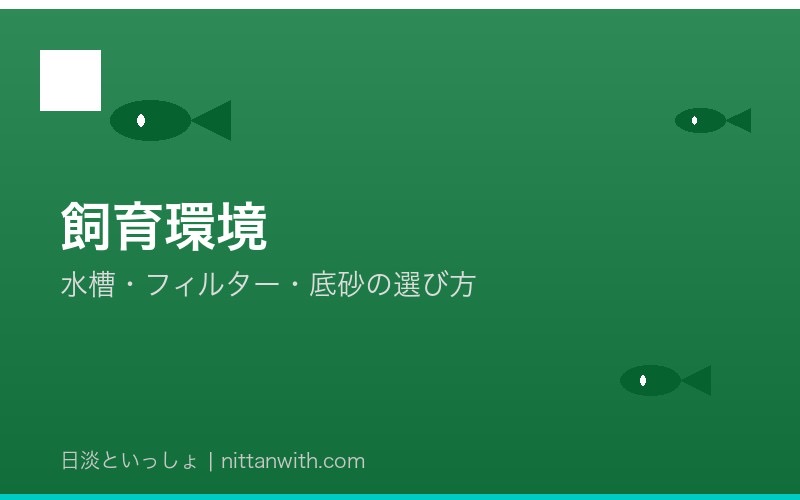 ゼニタナゴの飼育環境・水槽設備