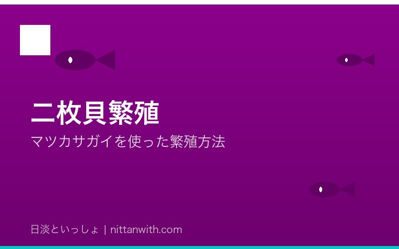 ゼニタナゴの二枚貝繁殖方法