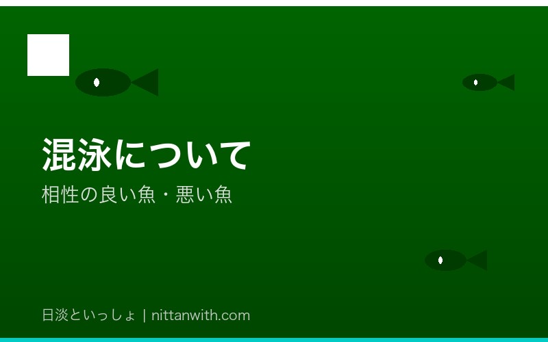 ゼニタナゴの混泳について