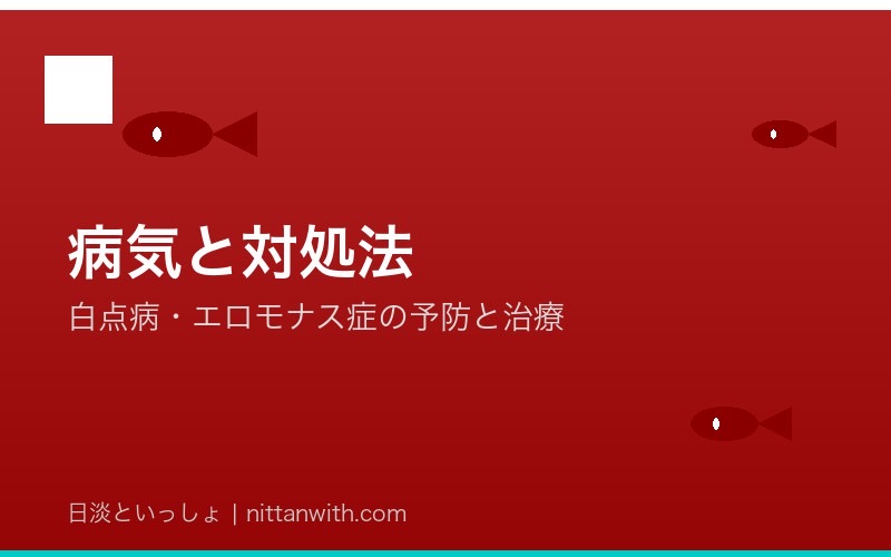 ゼニタナゴのかかりやすい病気と対処法