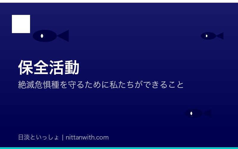 ゼニタナゴ保全活動への参加