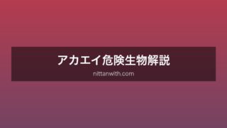 アカエイ警告