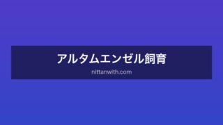 アルタムエンゼル