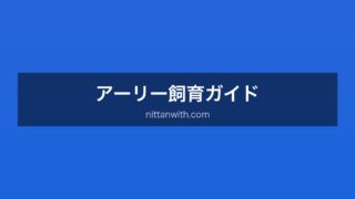 アーリー