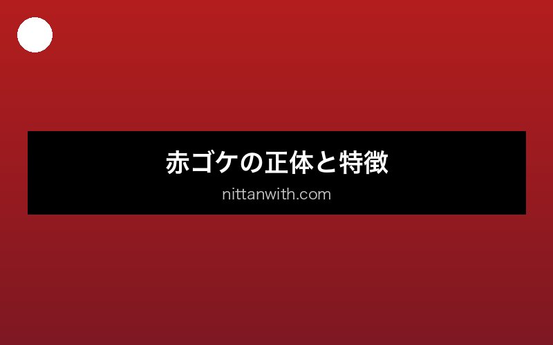 aquarium-aka-koke 画像1