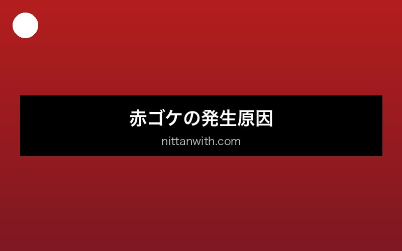 aquarium-aka-koke 画像2