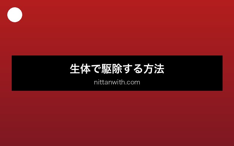 aquarium-aka-koke 画像5