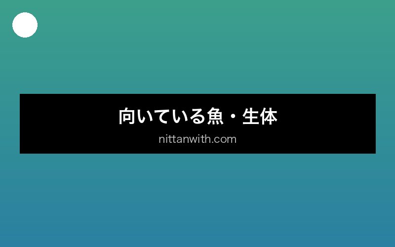 aquarium-chiisana-water 画像3