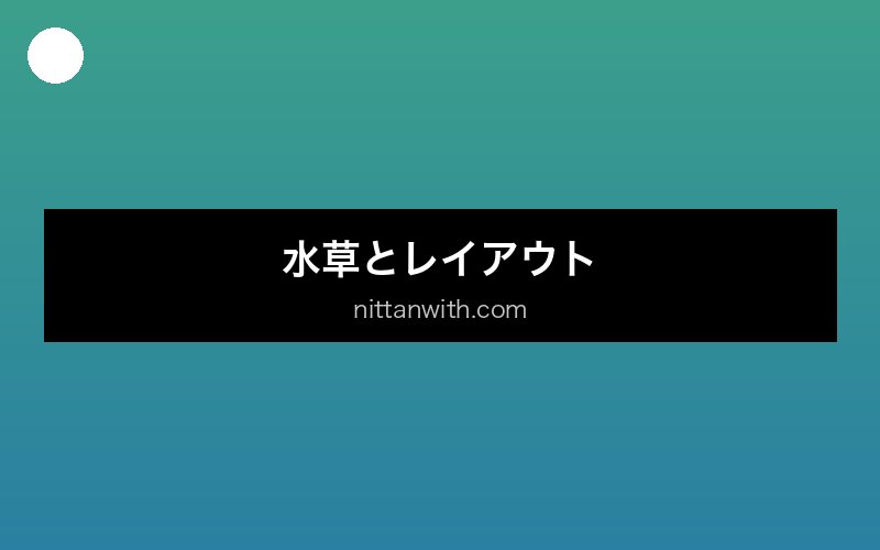 aquarium-chiisana-water 画像5