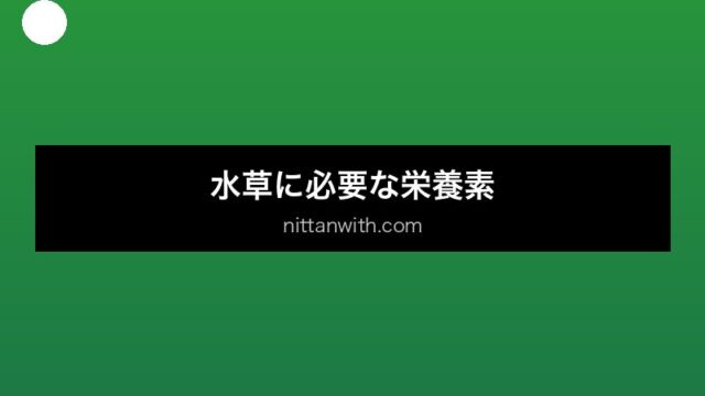 aquarium-fertilizer セクション画像