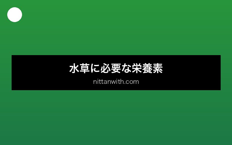 aquarium-fertilizer セクション画像