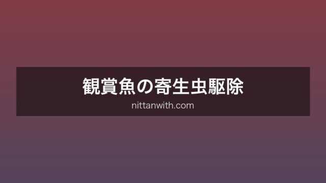 観賞魚の寄生虫駆除