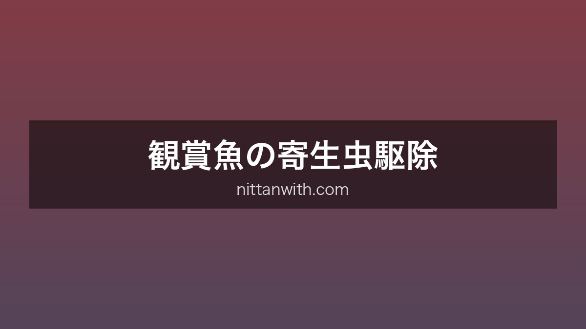 観賞魚の寄生虫駆除