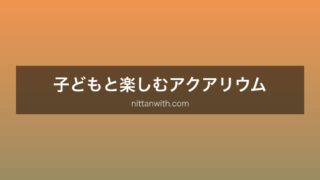 子どもと楽しむ