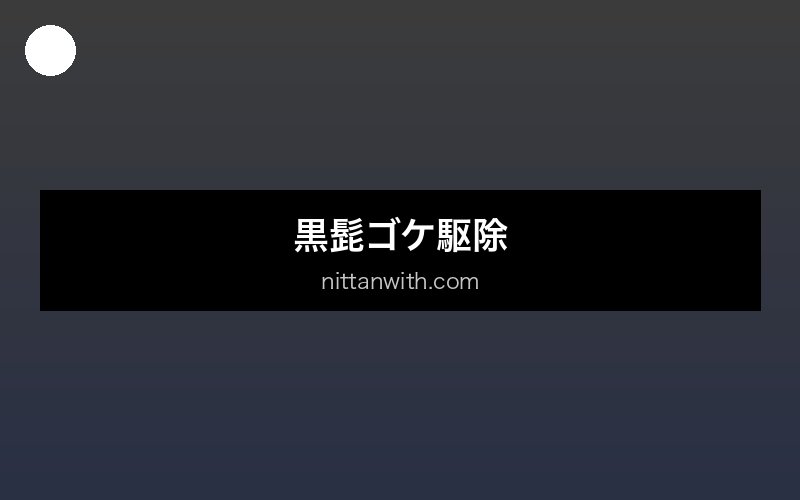 aquarium-kuro-hige-koke セクション1