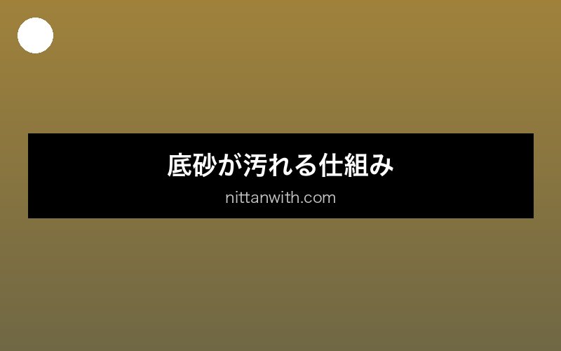 aquarium-sand-cleaning セクション画像