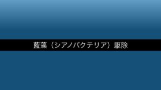 aquarium-shokumo-koke アイキャッチ