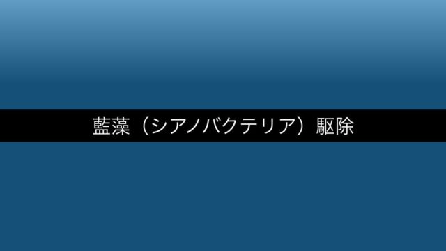 aquarium-shokumo-koke アイキャッチ